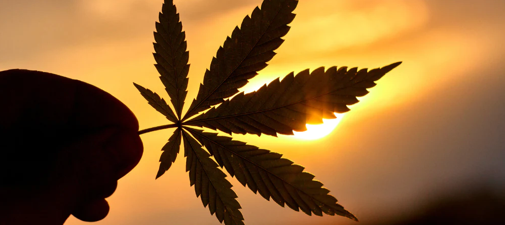 Medical research supporting common CBD claims about reducing pain, inflammation and anxiety.