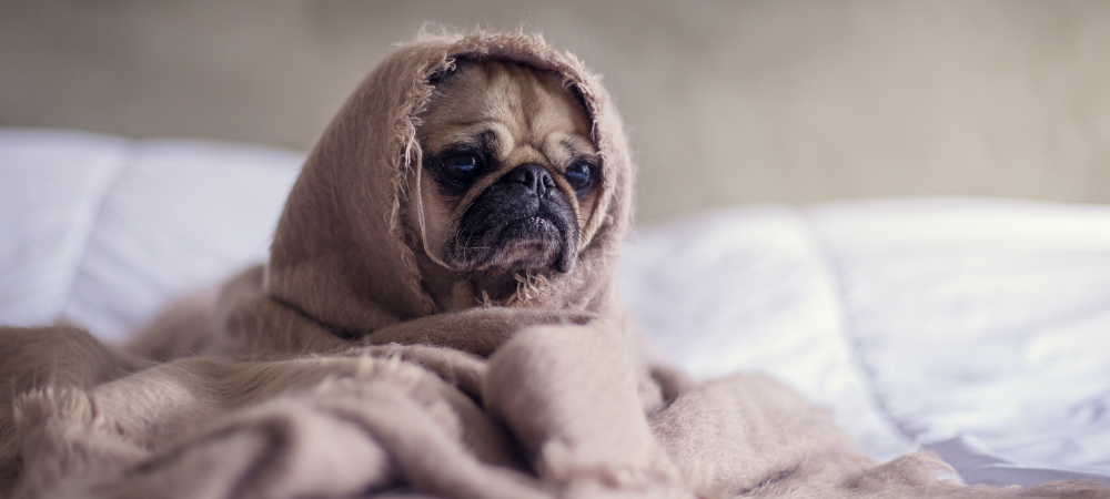 Best Sex Positions for Low Confidence